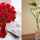 25% Off Early Delivery for Valentine’s Day Flowers | 1800Flowers | Promo code DLVRCUPID